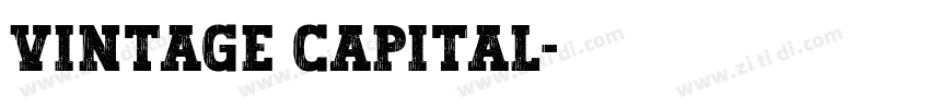 vintage capital字体转换